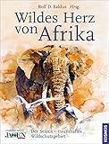 Image de Wildes Herz von Afrika