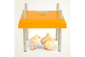 Umelee Brooder Heater for Chicks 10"×10", Chick Brooder Heat Plate for 15 Chicks with Adjustable Height & Angle, 15W Chicken Coop Heater for Chick Duckling Gosling Quail Hamster (Yellow)