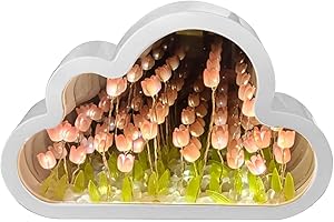 KMQRDZi Décoration de bureau, miroir, bricolage fait à la main, miroir nuage, veilleuse tulipe, ornements lumineux, cadeaux créatifs (rose)