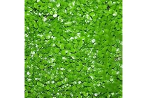 Haloppe 600 Pz Semi di Piante di Erba Acquatica per la Piantagione del Giardino di Casa, Acquario Semi di Erba Acquatica Serbatoio di Pesce Casa Paesaggio Idrofilo Ornamento 600 pezzi