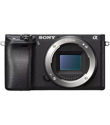 Sony Alpha 5000 Kompakt Sistem Kamerası Ve SEL-1650 Zoom Lens Kiti