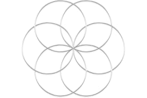 Worown 6pcs 20cm Floral Wreath Hoops, Silver Metal Rings for Making Wedding Wreath Decor and Wall Hanging Craft