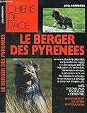 Le berger des Pyrénées