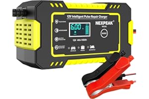 NEXPEAK Caricabatterie Auto Intelligente 12V per Batterie Acido - Ricarica e Manutenzione per Auto e Moto - Desolfatore con Mantenimento