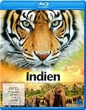 Indien - Auf den Spuren des Tigers [Blu-ray] - Tiger