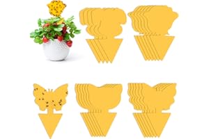 Rouclo 22 pegatinas amarillas para mosquitos, atrapa insectos, insectos pegajosos, trampas para moscas para plantas, doble cara, color amarillo adhesivo para interior y exterior
