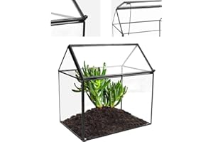 THATSRAD Terrario Plantas Cristal en Forma de Casa Poliédrico Terrario de Suculentas, Terrario de Vidrio para Plantas, Caja de Vidrio Plantas, Terrario Ecosistema Cerrado de Cristal para Musgo, Cactus
