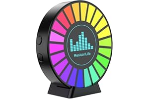 SNOWCHECKING Sprachgesteuerter Tonabnehmer, EVP-Sound, Tonabnehmer, Licht, Vibrationsgeräusch, elektronische Sensoren, paranormale Geräte (C)