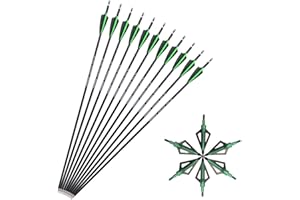 ‎SHARROW SHARROW 12x Carbonpfeile 30 Zoll Bogenpfeile Jagd Pfeile für Bogen Spine 500 für Recurvebogen Compound Bogen