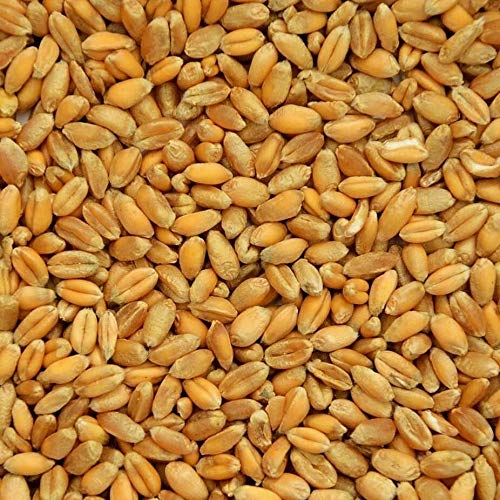 Preisvergleich Produktbild Bio Weizen 25 kg versandkostenfrei (D)