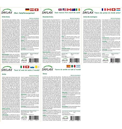 SAFLAX – Heilpflanzen – Echte Arnica – 40 Samen – Mit Substrat – Arnica montana - 4