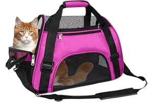 WENNEWU Transportbox FüR Katzen Und Hunde, Von Fluggesellschaften Zugelassene Transportboxen FüR Katzen, Geeignet FüR Reisen, Wandern Und Outdoor-Einsatz,Magenta,Medium