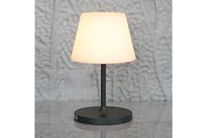 LOTITOL Outdoor Table Lamp/Cordless USB Rechargeable 4000mAh / 2700K LED/Touch Dimmable/Portable Battery Operated / IP44 Waterproof/PE Shade/Bedroom Dinning Camping Patio (9.6in, Dark Grey)