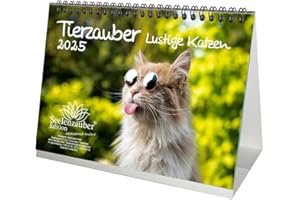 Calendrier de table 2025 avec chats amusants - Format A5 - Pour des moments amusants avec des chats Seelenzauber