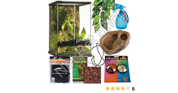 crested gecko starter kit