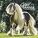Produktbild Gypsy Vanner Horse 2018 Calendar