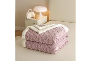 RongRongIN Kuscheldecke 180x200 cm Herbst Winter Flauschig Decke für Bett Sofa Couch – Hell Lila, Extra Weich Doppelgesicht Wohndecke Tagesdecke Sofadecke Couchdecke Überwurfdecke Biber Warm