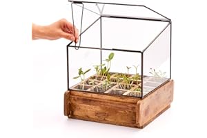 Modernes Gewächshaus als Deko, für Anzucht & für Kräuter | Aus Glas, recyceltem Holz und Metall | Zimmergewächshaus als Dekoration | 31 x 26 x 29 cm |