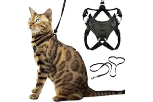 Houdini™ Escape Proof Cat Harness and Leash Set by OutdoorBengal for Walking Cats and Kittens (Vegan Leather, Large Cat)