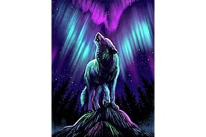 TISHIRON Wolf Paint by Numbers for Adults Northern Lights DIY Paint by Numbers Kits on Canvas, Acrylic Painting Paint by Number Kit for Kids Beginner Frameless 16x20 Inch