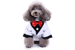 GABEFISH Schwarz-weiß-blaues Hundehemd für Hochzeit, Welpen-Smoking, formelle Kleidung, Doggie Smoking, Anzug und Krawatte, Kostüm, weiß, groß