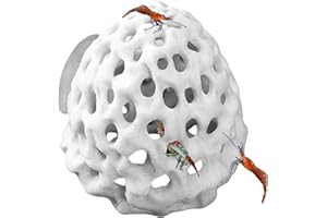 BAOQIFONG Grotte D'aquarium, Petite Maison Poreuse Betta, Abri À Crevettes Betta House, Cachettes De Poissons, Ornements Thématiques De Décoration D'aquarium, Accessoire pour Aquarium À Crevettes