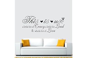 ANFIGURE Motivational Home Wall Decals for Bedroom: Family Inspirational Quotes Vinyl Art Wall Stickers for Living Room Kitchen Apartment Bathroom - This is us a Little bit of Crazy 32" X 12.5"