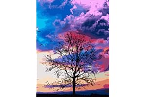 WOWDECOR DIY Malen nach Zahlen für Erwachsene Kinder Mädchen, Vierjahreszeiten Baum Bunt Wolke 40x50cm Vorgedruckt Leinwand-Ölgemälde (ohne Rahmen)