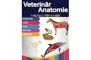 Veterinär Anatomie Malbuch Für Kinder: Tieranatomie-Malbuch Für Kinder Alle Arten von Tieren Säugetiere, Vögel, Fische, Reptilien, Amphibien mit über ... Fakten (Ein Wussten Sie schon? Malbuch)