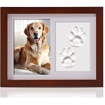 Portachiavi Commemorativo Per Animali - Scatolina Per Peli Di Cane E Gatto A Forma Di Zampa