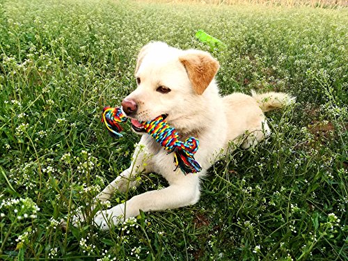5-Pack-Pet-Dog-Cotton-Rope-Toys-Rubber-Chewing-Ball-Toys-Bite-Resistant-and-Teeth-Cleaning-Gift-Set-for-Small-Medium-Dogs