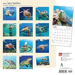 Sea Turtles - Meeresschildkröten 2017 - 18-Monatskalender: Original BrownTrout-Kalender [Mehrsprachig] [Kalender] (Wall-Kalender)