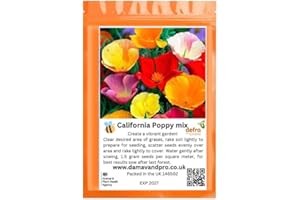 DAMAVAND PRO California Californian Poppy Mix Zip Bag Escholtzia californica Fresh UK Seeds Annual Yellow Orange Pinkish Red Flower 1000 Seeds 2g