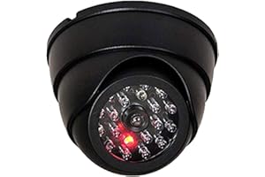 O&W Security Caméra factice avec objectif et clignotant, utilisation en intérieur et en extérieur