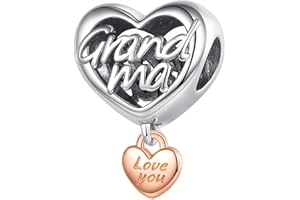 Lkwidi Femme Charms-Famille amour animaux Argent Sterling 925 Pendentif avec Zircon Cubique pour Bracelet