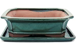EXOTENHERZ Bonsaï Bol avec sous assiette Taille 5 – Vert – Rectangulaire – Modèle G4 – L 31 cm – B 23 cm – H 9,5 cm