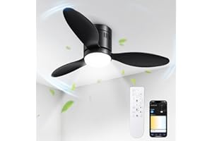 BLITZWILL Ventilatore da Soffitto con Luce, Ø106cm Ventilatori da soffitto con Illuminazione LED, Controllo App&Telecomando, 6 Velocità, 3 Colori Dimmerabile, 3 Pale, Silenzioso, Estate-Inverno,Timer