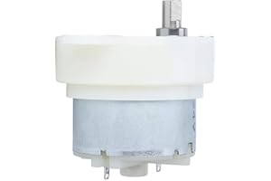 VIKYE Piccolo motoriduttore, scatola ingranaggi del motoriduttore 12 V a bassa velocità con rotazione del silenziatore terminale