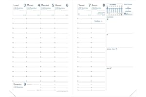 Quo Vadis 004457Q Agenda AFFARI Lingua italiana Anno 2026 Formato 10x15 cm Settimanale 13 Mesi Dicembre-Dicembre Carta Bianca Taglio Oro Ricambio Agenda Blisterato Copertina in Cartone Bianco