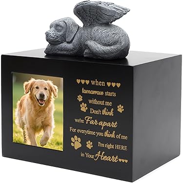 Kiiwah 2 stuks dierenbont aandenken sleutelhangers voor hond kat, pootvormige huisdieren haarverzamelaar sleutelhangers schattig, herdenking rouwgeschenken voor hond kat liefhebber (zwart wit Kiiwah 2 stuks dierenbont aandenken sleutelhangers voor hond kat, pootvormige huisdieren haarverzamelaar sleutelhangers schattig, herdenking rouwgeschenken voor hond kat liefhebber (zwart wit