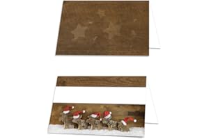 ‎LOGBUCH-VERLAG Logbuch-Verlag 25 weihnachtliche Tischkarten braun rot weiß mit Rentieren - kleine Namensschilder Sitzplatzkarten für Weihnachtsfeier Tischdeko Weihnachten