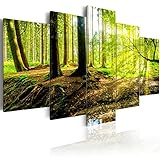 FARBEN: Lichtecht & geruchslos. Farben mit Tiefe und hoher Farbrillanz. 100% unbedenklich für das Kinder & Schlafzimmer