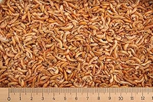 Futtertiere getrocknet (Grundpreis 3,80 Euro/L) - 10 Liter Premium Bachflohkrebse - Koi - Gammarus ca. 1,0 kg