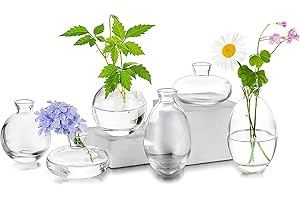 Hewory Jarrones de Vidrio Pequeños para Decoración Centros de Mesa de Boda, Jarrón Transparente para Flores, 6pcs Jarrones Vintage de un Solo Brote, Mini Jarrón Kawaii A Granel para Sala de Estar