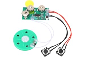 Risegun DIY Grußkarten Chip 4 Minuten Beschreibbares Soundmodul Voice Sound Chip Modul für Karten, Spielwaren, Geschenke