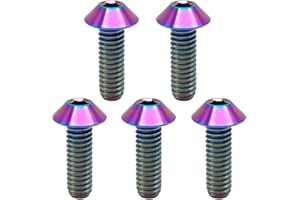 RISON-Titanium 5 Pezzi Bulloni in Titanio M5x0.8x16mm, Bulloni a Brugola Testa a Cupola con Esagono Incassato, Viti a Testa Cilindrica, Ferramenta Elementi di Fissaggio per Bicicletta, Moto