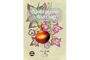GENERICO cipolla gigante ailsa craig,allium cepa,semi rari,semi strani, orto strabilia
