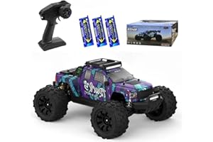 Ledovan 1:14 Ferngesteuertes Auto, 100 km/h Hochgeschwindigkeits Bürstenloser Motor RC Monstertruck für Erwachsene, 2.4GHz All Terrain Offroad Drift Car, 4WD RC Buggy, 3 Batterien(Lila)