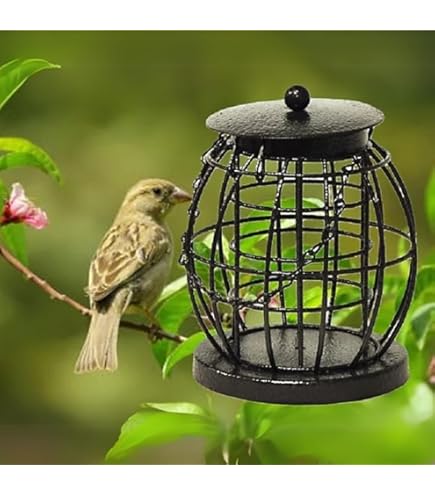 Kingfisher Deluxe Lanterne à Cacahuètes Oiseaux Sauvages Jardin