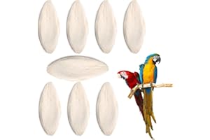 JOCXZI 8PCS Os de Seiche Oiseaux-Os de Seiche pour Tortue,Os de Seiche Perroquet,Os de Seiche Naturelle,Jouets à Mâcher Oiseaux, Oiseau De Calcium Jouet pour Reptiles Tortues Escargots Petits Animaux